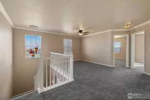 7399 Russell Cir, Frederick, CO 80504 - Photo 19