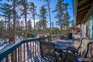 231 Snake Lake Dr, Red Feather Lakes, CO 80545 - Photo 13
