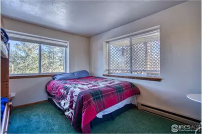 231 Snake Lake Dr, Red Feather Lakes, CO 80545 - Photo 19