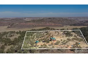 1124 Pilgrim Pl, Livermore, CO 80536 - Photo 45