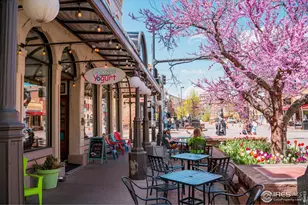 14467 Anvil Circle, Golden, CO 80403 - Photo 15