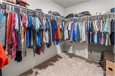 1255 Baker Pass St, Severance, CO 80550 - Photo 37