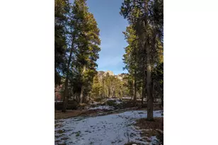 172 Thorn Cir, Black Hawk, CO 80422 - Photo 33