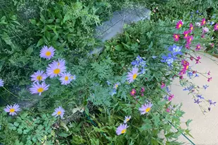 172 Thorn Cir, Black Hawk, CO 80422 - Photo 41