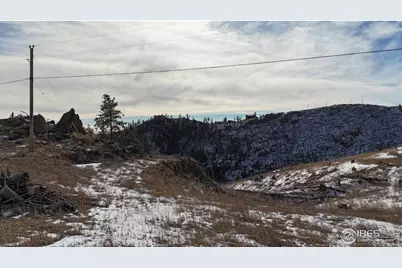 813 Hernia Hill Trl, Bellvue, CO 80512 - Photo 11
