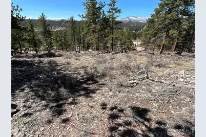 295 Piney Knolls Dr, Red Feather Lakes, CO 80545 - Photo 9