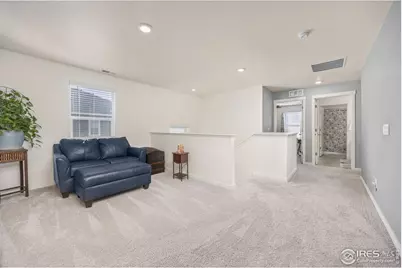 3725 Catmint St, Wellington, CO 80549 - Photo 19