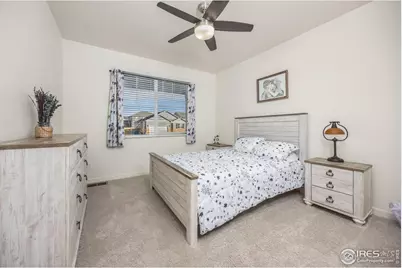 3725 Catmint St, Wellington, CO 80549 - Photo 5