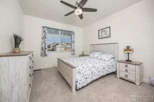 3725 Catmint St, Wellington, CO 80549 - Photo 5