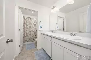 3725 Catmint St, Wellington, CO 80549 - Photo 33