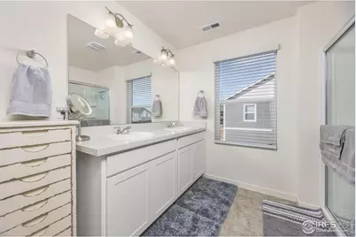 3725 Catmint St, Wellington, CO 80549 - Photo 25