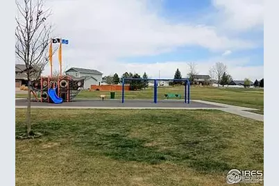 3725 Catmint St, Wellington, CO 80549 - Photo 39