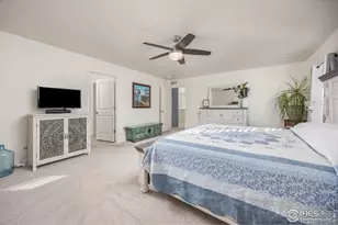 3725 Catmint St, Wellington, CO 80549 - Photo 21