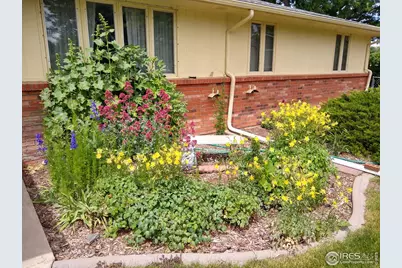 1327 Audubon Pl, Loveland, CO 80538 - Photo 1