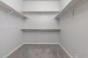 244 Veronica Dr, Windsor, CO 80550 - Photo 15