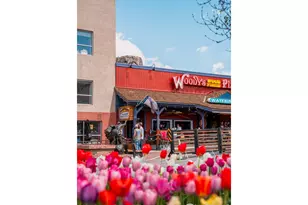 14475 Anvil Circle, Golden, CO 80403 - Photo 13