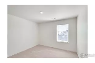 849 Trumpet Ln, Windsor, CO 80550 - Photo 21