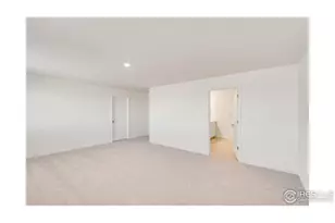 849 Trumpet Ln, Windsor, CO 80550 - Photo 15