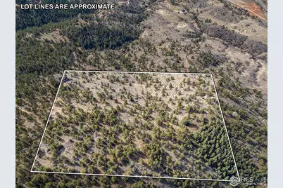 9316 Tawny Lynx Rd, Loveland, CO 80538 - Photo 9