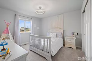 7142 Cottage Ct, Timnath, CO 80547 - Photo 23