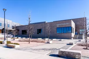 168 Horizon Ave, Erie, CO 80516 - Photo 49