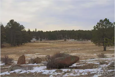 11741 County Road 67J, Livermore, CO 80536 - Photo 17