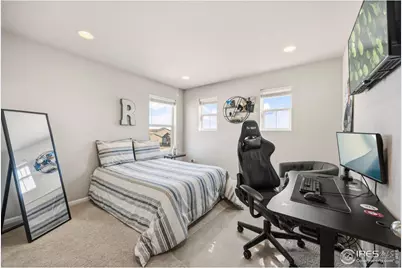 5247 Alberta Falls St, Timnath, CO 80547 - Photo 31