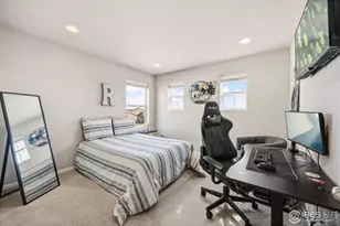 5247 Alberta Falls St, Timnath, CO 80547 - Photo 31