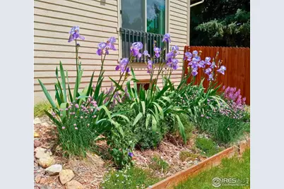 2253 Spinnaker Cir, Longmont, CO 80503 - Photo 47