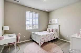 163 Buckwheat Ln, Berthoud, CO 80513 - Photo 27