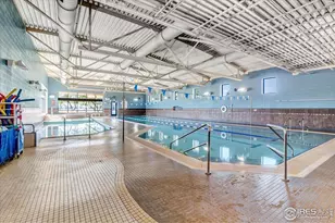 1860 Seadrift Ct, Windsor, CO 80550 - Photo 35