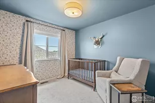 387 Seahorse Dr, Windsor, CO 80550 - Photo 33