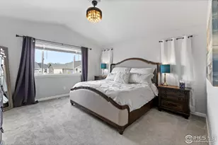 356 Blue Star Dr, Windsor, CO 80550 - Photo 23