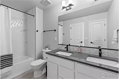 356 Bluestar Dr, Windsor, CO 80550 - Photo 29