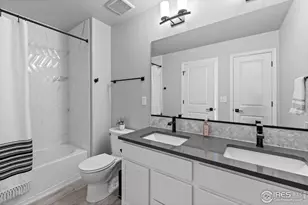 356 Blue Star Dr, Windsor, CO 80550 - Photo 29