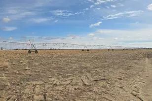 9482 Hwy 52, Wiggins, CO 80654 - Photo 1