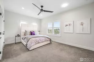 242 Clementina St, Louisville, CO 80027 - Photo 19