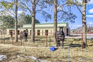 6921 Ridge Valley Ct, Loveland, CO 80538 - Photo 35
