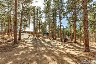 148 Hickok Trail, Ward, CO 80481 - Photo 33