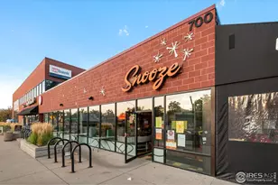 944 Ivanhoe St, Denver, CO 80220 - Photo 49