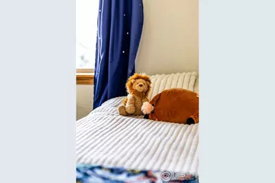 927 Hover Ridge Cir, Longmont, CO 80501 - Photo 23