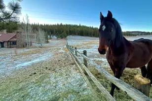 9200 Old Flowers Rd, Bellvue, CO 80512 - Photo 49