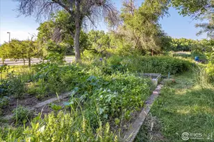 1180 Monroe Dr, Boulder, CO 80303 - Photo 27