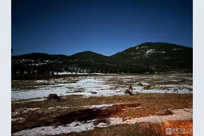 810 Larkspur Rd, Estes Park, CO 80517 - Photo 41