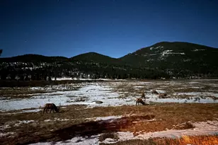 810 Larkspur Rd, Estes Park, CO 80517 - Photo 41