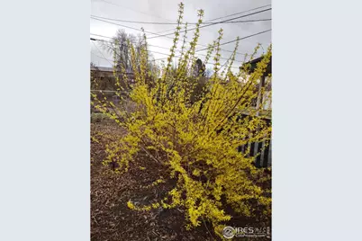 3333 W Wagon Trail Dr, Denver, CO 80110 - Photo 31