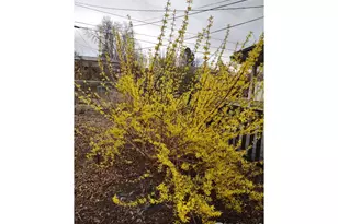 3333 W Wagon Trail Dr, Englewood, CO 80110 - Photo 31