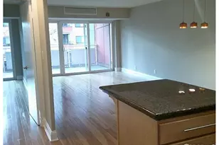 1121 Albion St, Denver, CO 80220 - Photo 9