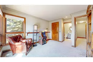 1421 St Moritz Trail, Estes Park, CO 80517 - Photo 19