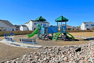 6881 Cattails Dr, Wellington, CO 80549 - Photo 49